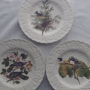 Bird Plate Set - 1940s Alfred Meakin China
